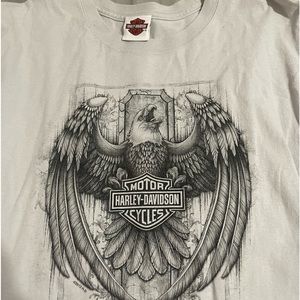 Harley-Davidson Men’s Grey T-Shirt